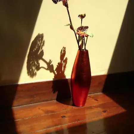 公寓 Gorgeous River View In Alfama *